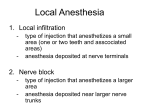 anatomy of local anesthesia