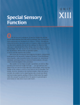 Special Sensory Function Special Sensory Function