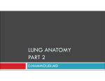 lung anatomy part 2 - Sinoe Medical Association