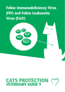 Feline Immunodeficiency Virus (FIV) and Feline