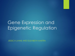 Prenatal Arsenic Exposure and Altered Gene Expression