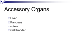 Accessory Organs