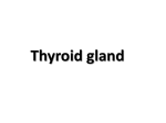 Pituitary Gland (Hypophysis)