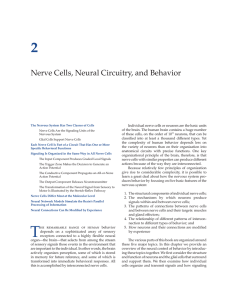 Nerve Cells, Neural Circuitry, and Behavior