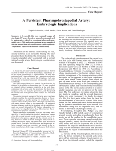 A Persistent Pharyngohyostapedial Artery: Embryologic Implications