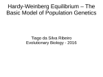 Hardy-Weinberg Equilibrium – The Basic Model of Population