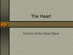 control of Heart beat