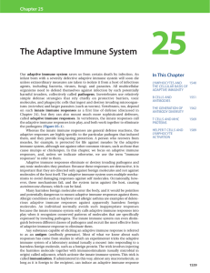 The Adaptive Immune System