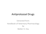 Antiprotozoal Drugs - IHMC Public Cmaps (3)