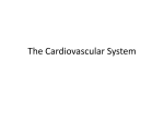The Cardiovascular System - West-MEC