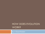 How Does Evolution Work?