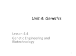 Unit 4: Genetics