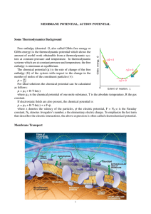 MEMBRANE POTENTIAL, ACTION POTENTIAL Some
