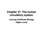The Circulatory System - leavingcertbiology.net
