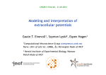 Modeling and interpretation of extracellular potentials
