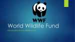World Wildlife Fund: Class Assignment