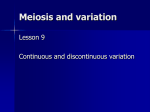meiosis_9_for_VLE