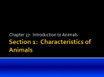 Section 1: Characteristics of Animals