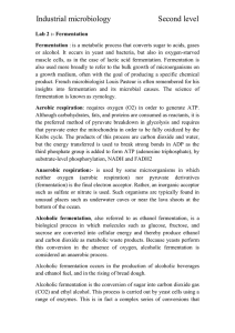 Industrial microbiology Second level