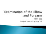 Examination of the Elbow and Forearm
