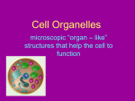 Cell Organelles - Taran D. Thompson