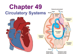 063--Ch49--Circulatory Systems v2010
