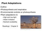 PowerPoint Presentation - Lecture 4: Ecology of Evolution cont`d