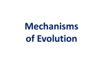 Mechanisms of evolution pp