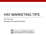 Marketing Considerations in Hay