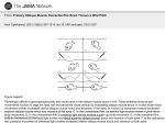 Primary Oblique Muscle OveractionThe Brain Throws a Wild Pitch