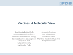 Vaccines: A Molecular View