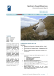 Northern Royal albatross EN1.1 - Agreement on the Conservation of