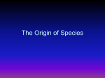 The Origin of Species - wentworth science