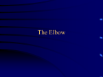 The Elbow - WordPress.com