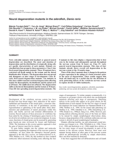 Neural degeneration mutants in the zebrafish, Danio