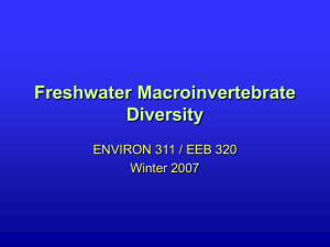 Freshwater Macroinvertebrate Diversity