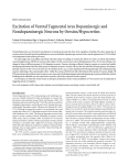Excitation of Ventral Tegmental Area Dopaminergic and