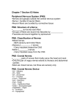 PNS: Cranial Nerves