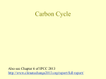CarbonCycle