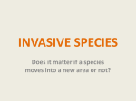What is an invasive species?