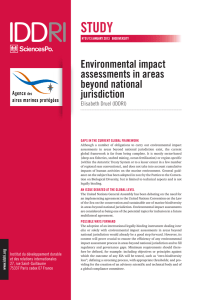 Environmental impact assessments in areas beyond national