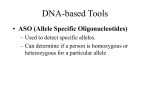 Nucleic Acids Lectures - Outline