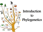 Introduction to Phylogenetics - Lectures For UG-5