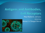 Antigens and Antibodies, Cell Receptors