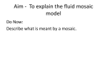 Aim - What is the fluid mosaic model?