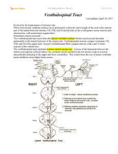 Vestibulospinal Tract - Viktor`s Notes for the Neurosurgery Resident