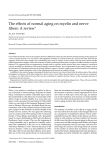 The effects of normal aging on myelin and nerve fibers: A review