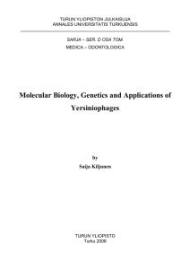Molecular Biology, Genetics and Applications of Yersiniophages