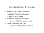 Mechanisms of Evolution