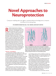 Novel Approaches to Neuroprotection